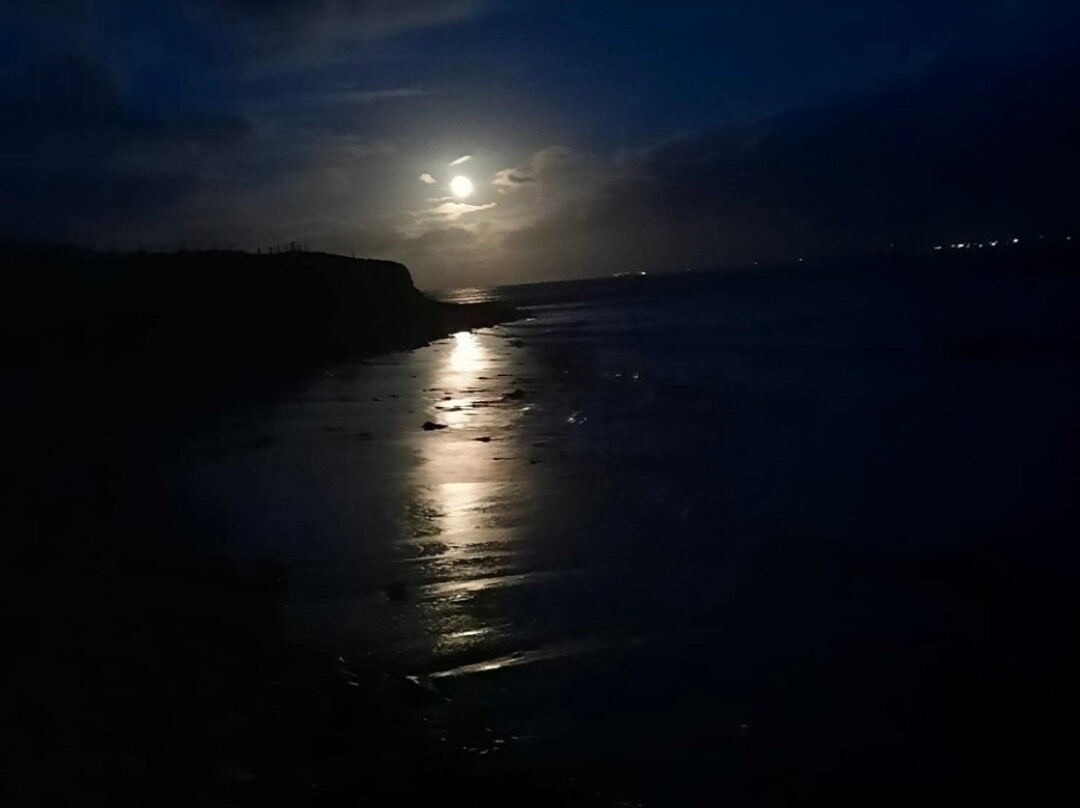 Ross Beach-Killala必去景点