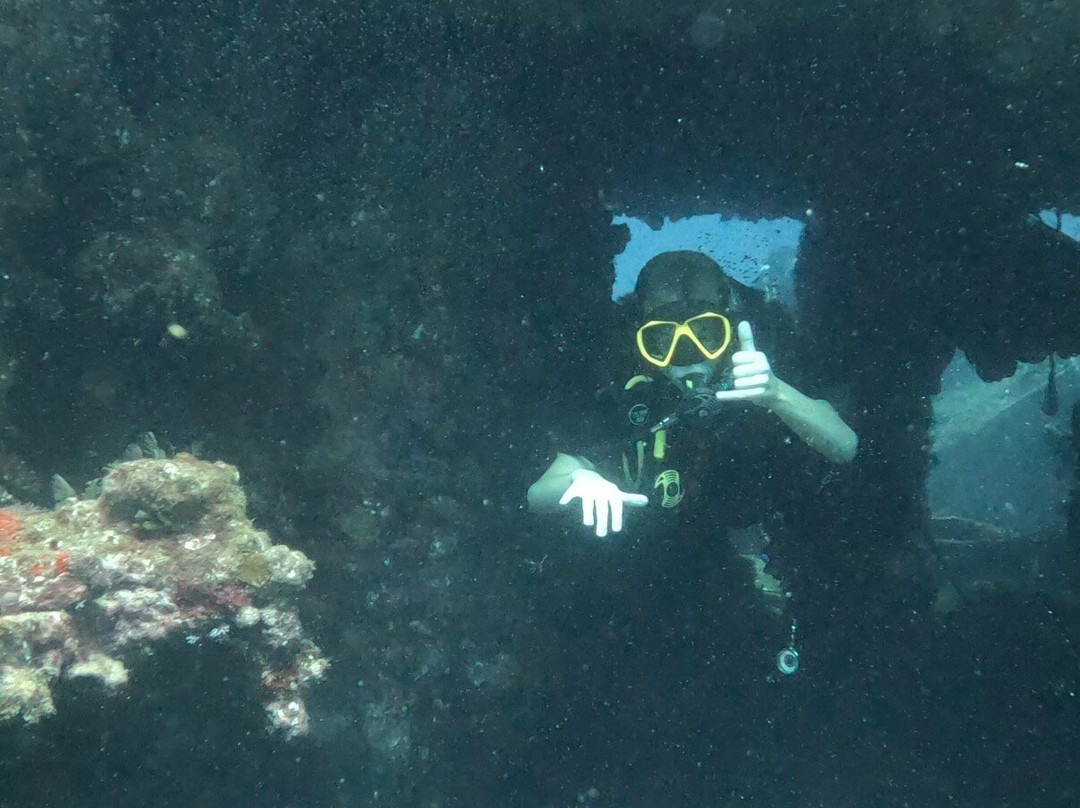 Scuba Guru - Diving Certification and Classes-布兰斯堡必去景点