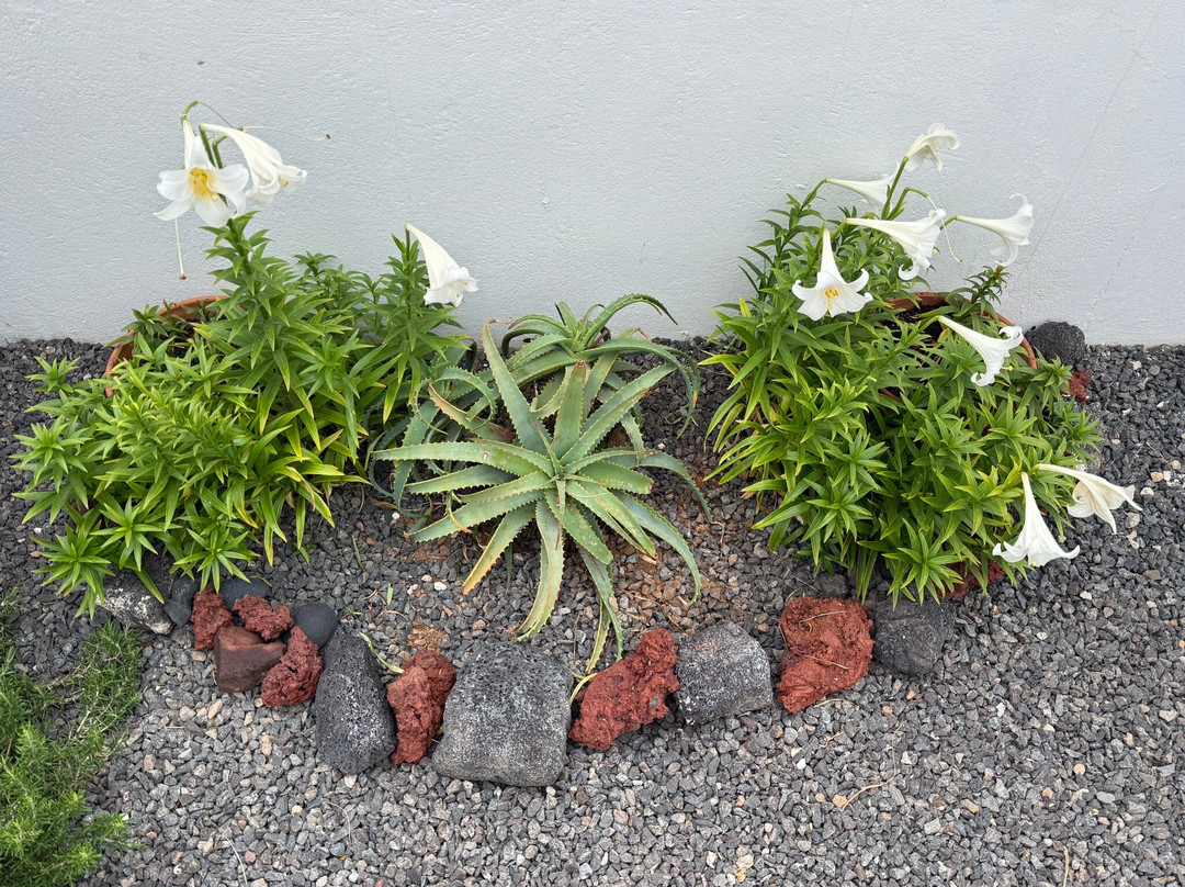 Nopasanada Tu Casa En Lanzarote