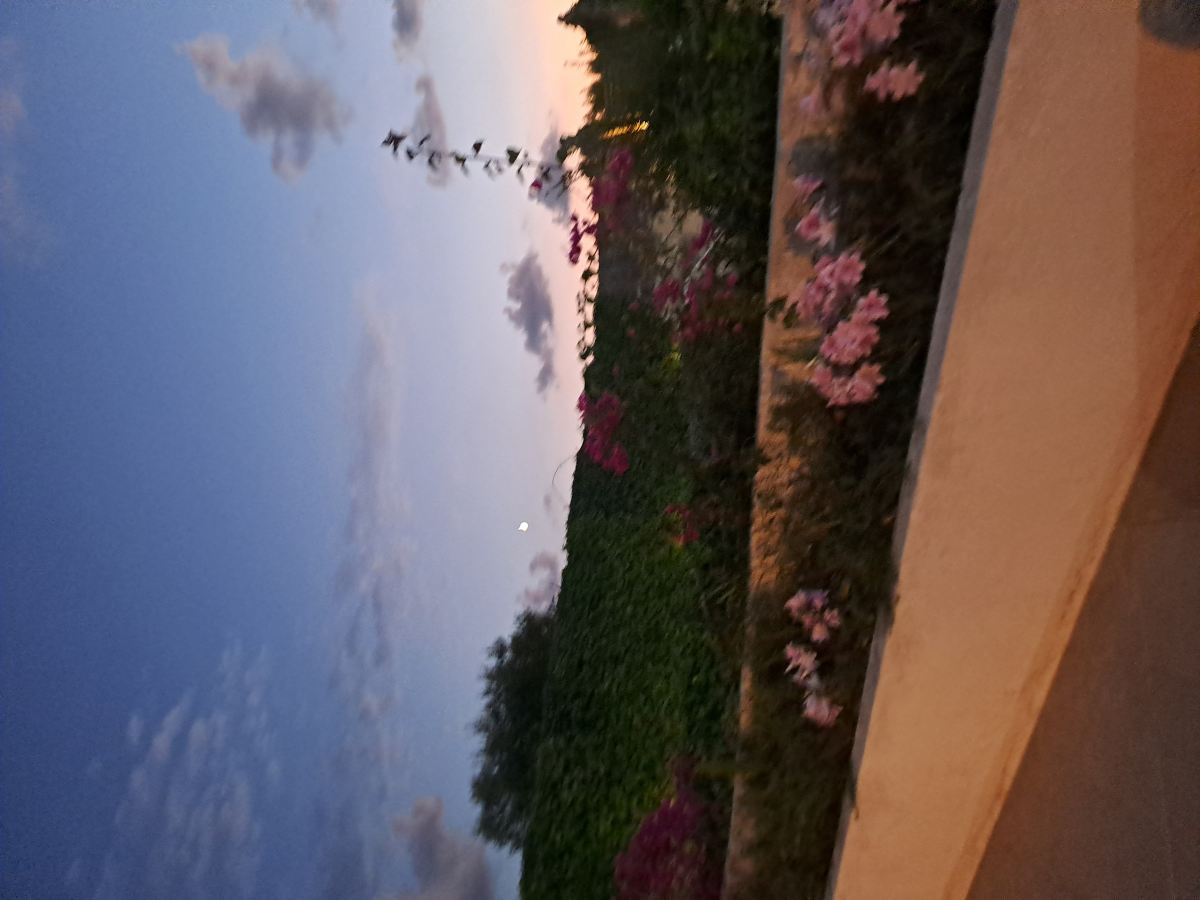 玛色里阿图托萨酒店-旅行者
