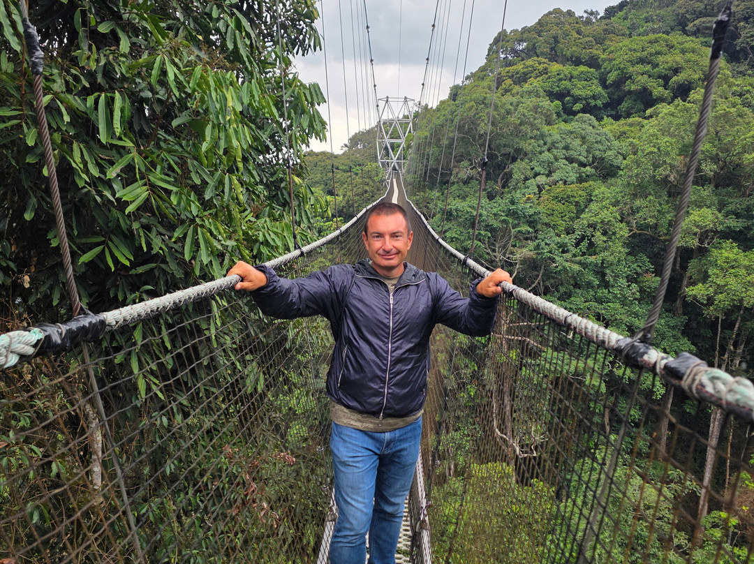 Nyungwe Canopy Walk-Butare必去景点