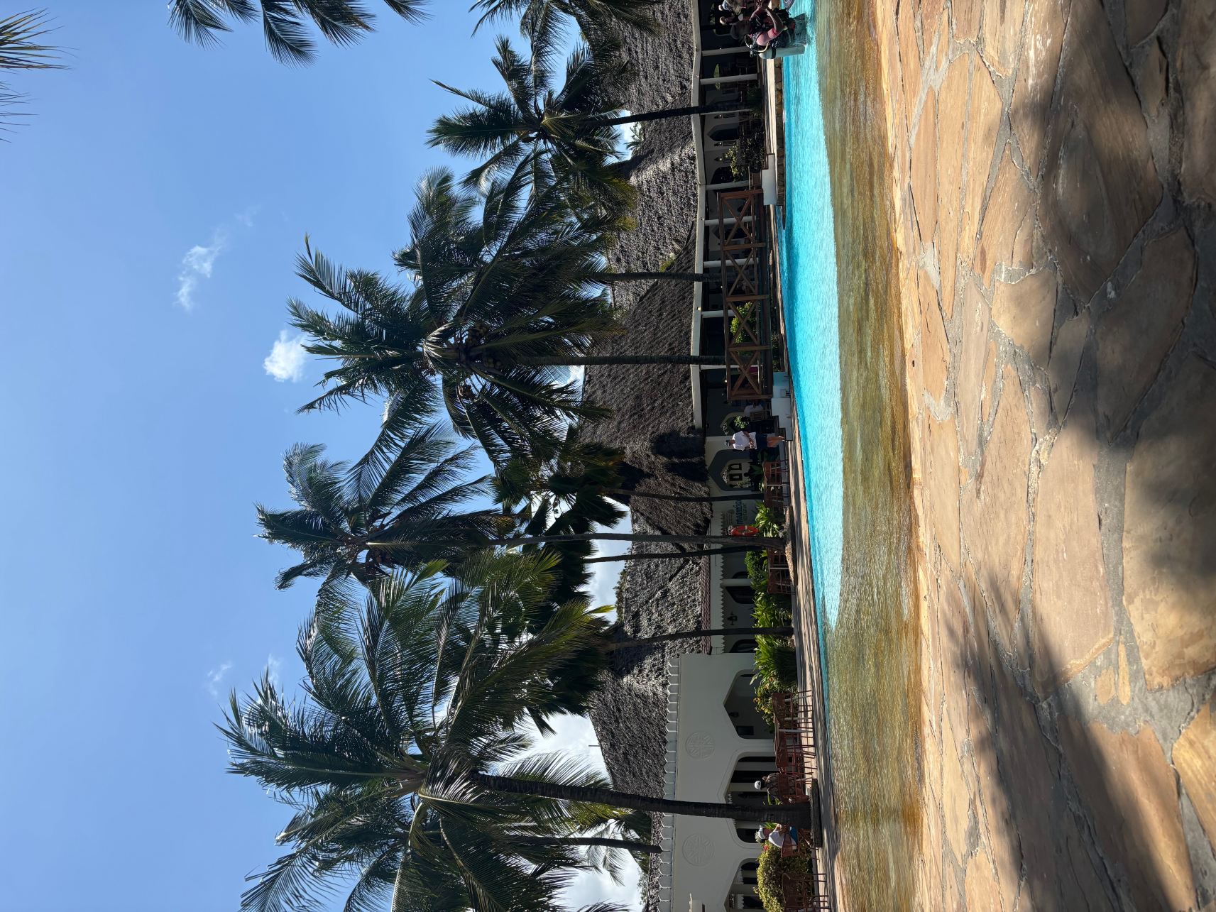 苏丹金沙岛度假村及水疗中心-旅行者