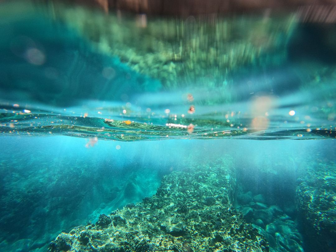 Just Diving-Bain Boeuf必去景点