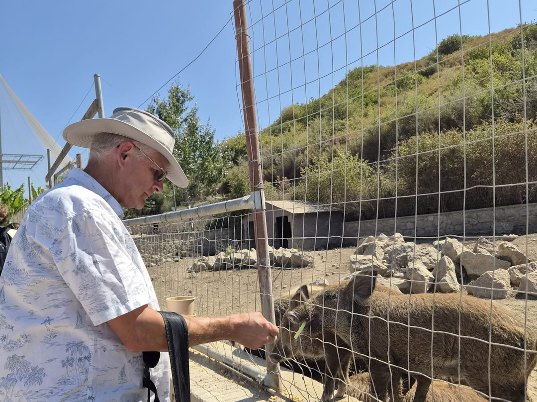 Farma of Rhodes Petting Zoo-Theologos必去景点