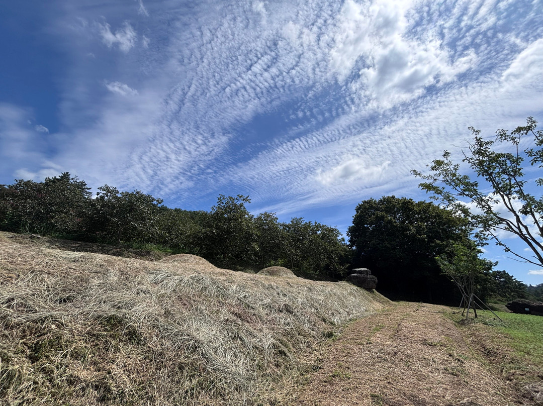 高敞、和顺、江华的史前遗址 -高敞郡必去景点