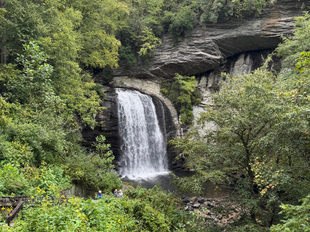 Looking Glass Falls-Pisgah Forest必去景点