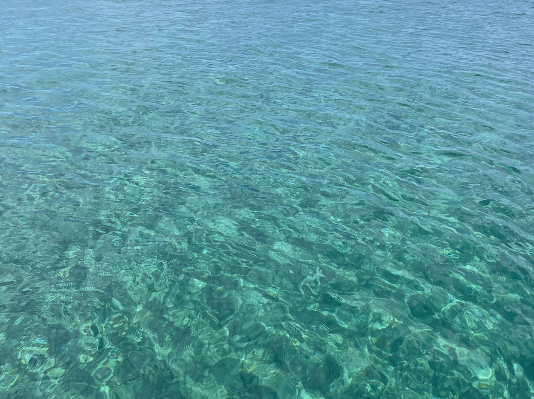 Captain Homer's Boat Trips-Messonghi必去景点