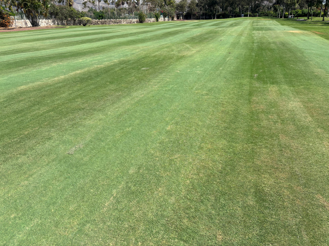 Golf Las Americas-美洲海滩必去景点