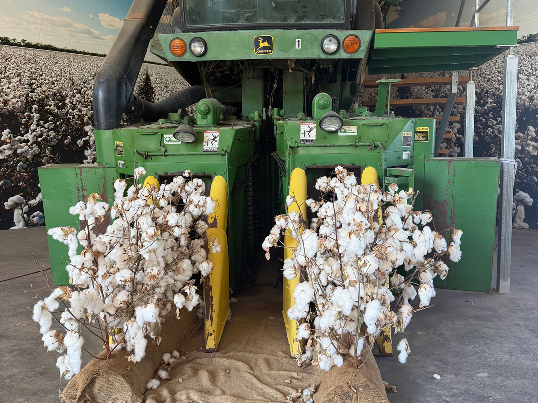 Goondiwindi Cotton-Goondiwindi必去景点