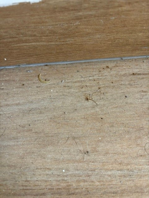 托克索提斯酒店主图