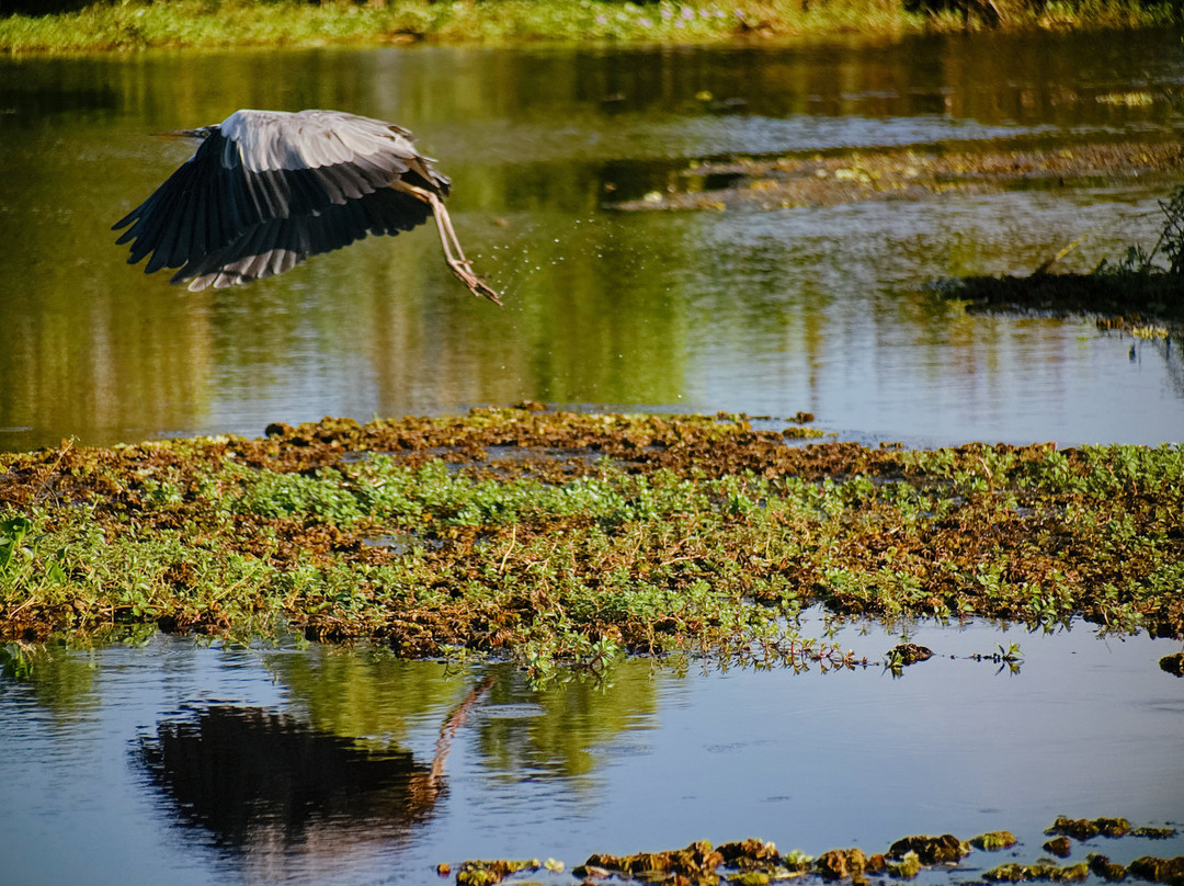 Wildlife Wonders Sri Lanka-唐卡拉必去景点