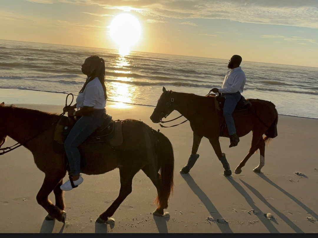 Amelia Island Horseback Riding-费尔南迪纳岛必去景点
