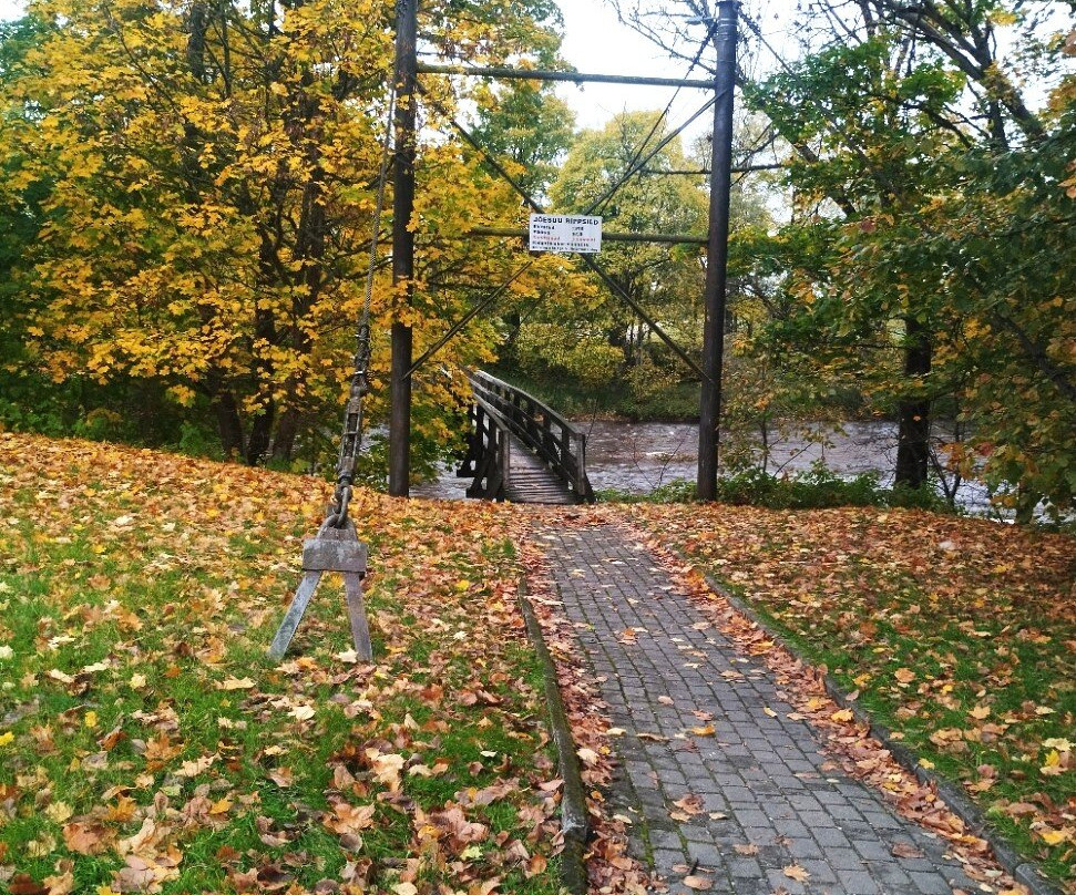 Joesuu Suspension Bridge-Parnu County必去景点