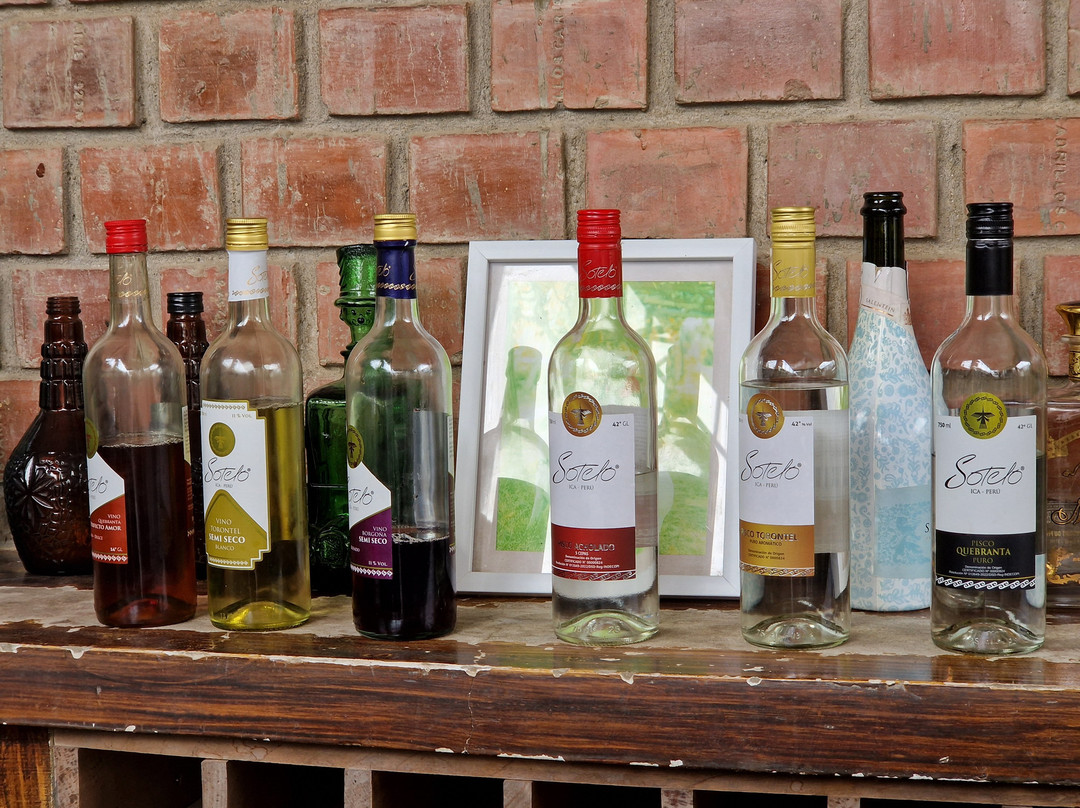 Bodega Y Viñedo Sotelo-伊卡必去景点
