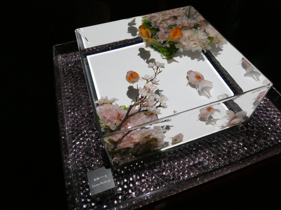 Art Aquarium-Ginza必去景点
