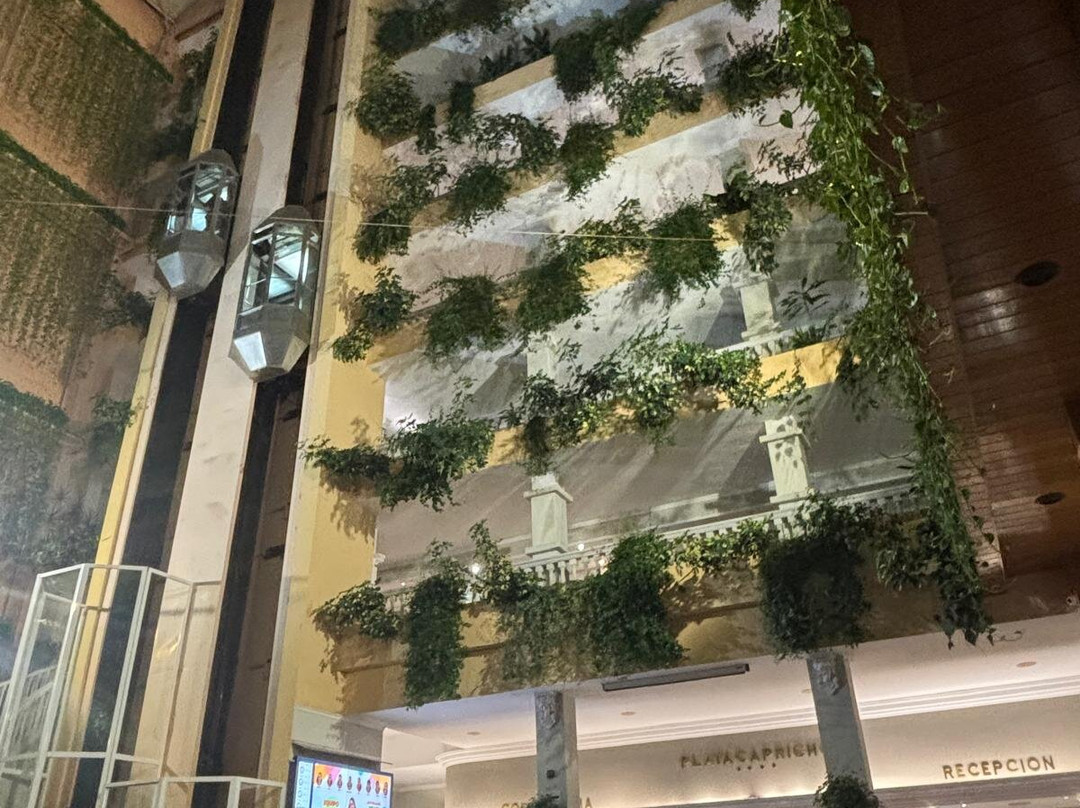 普拉亚卡普里丘酒店主图