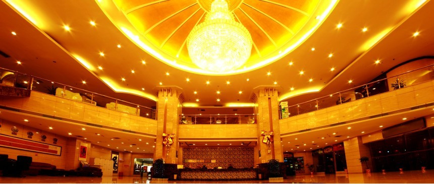 好来登大酒店主图