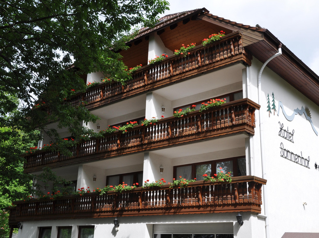 Bad Sachsa酒店住宿-Hotel Sonnenhof