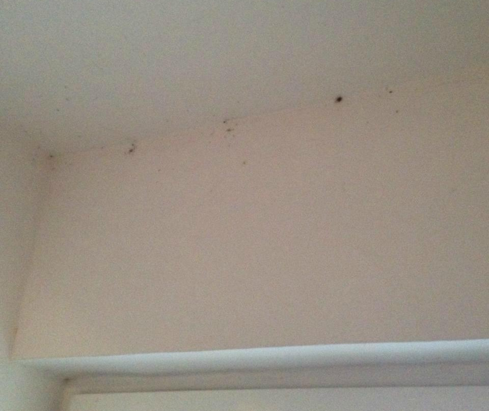 Lelle Park Apartmanhaz
