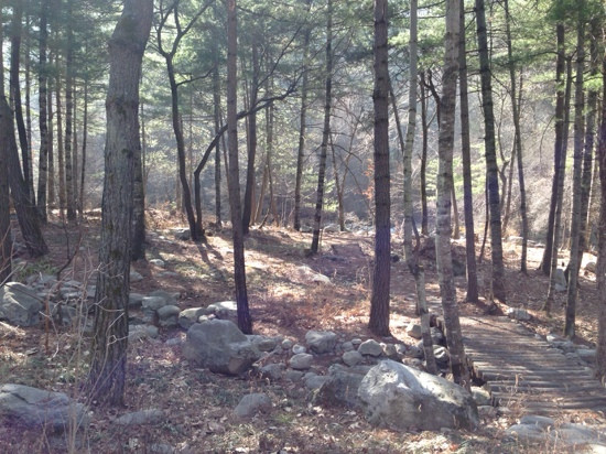 西安朱雀国家森林公园-户县必去景点