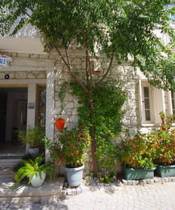 艾亚鲁兹加利酒店酒店图片