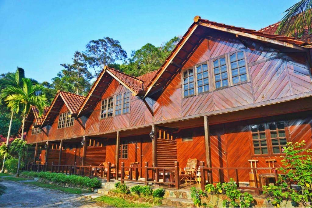 哥打丁宜酒店住宿-Kota Rainforest Resort