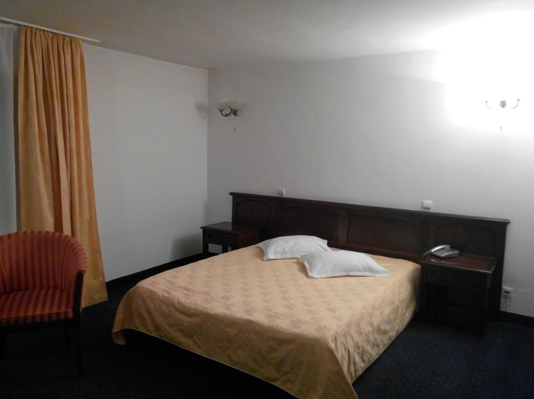 Hotel Codrisor
