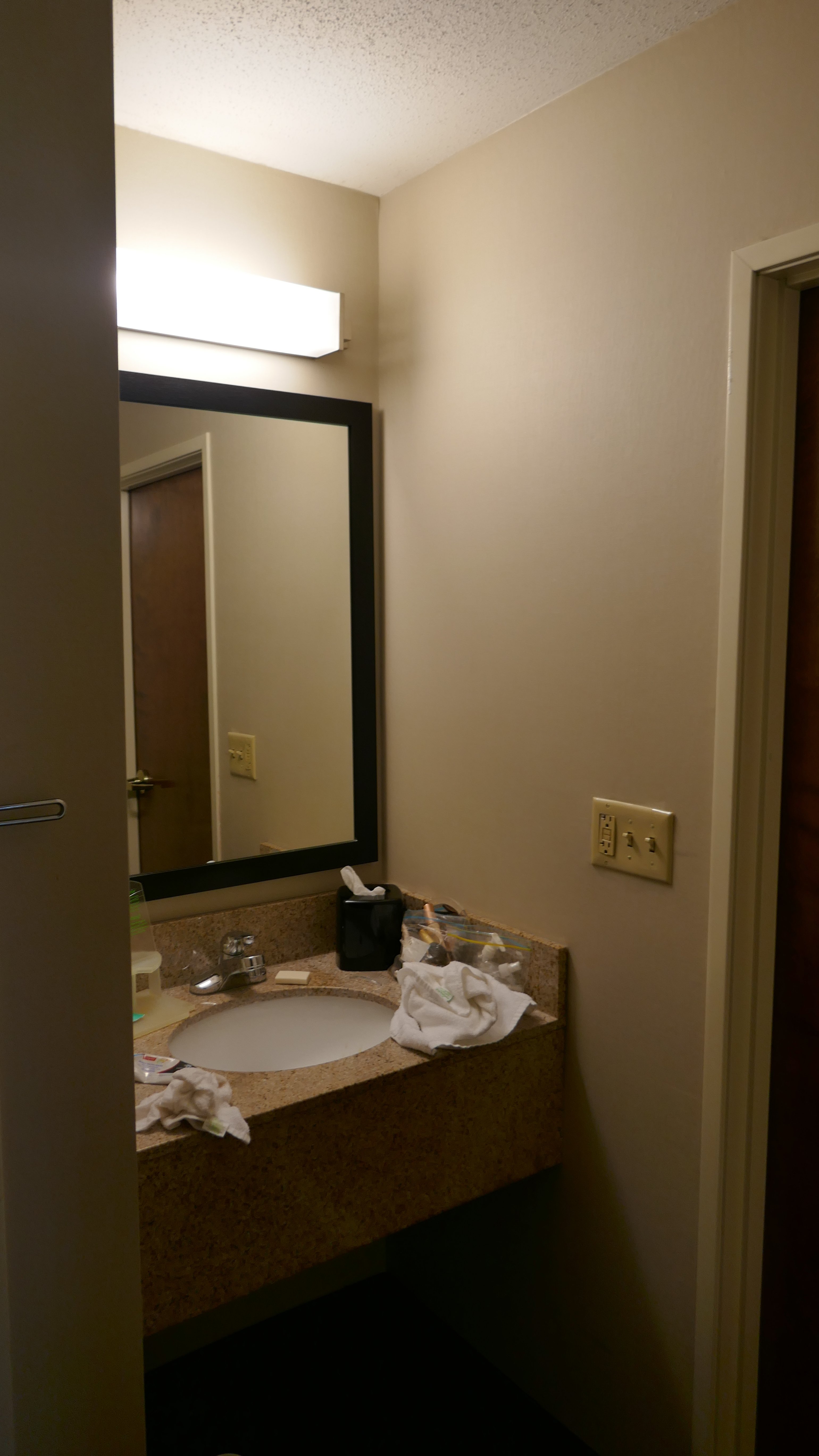 Holiday Inn Express Romulus / Detroit Airport, An Ihg Hotel-浴室
