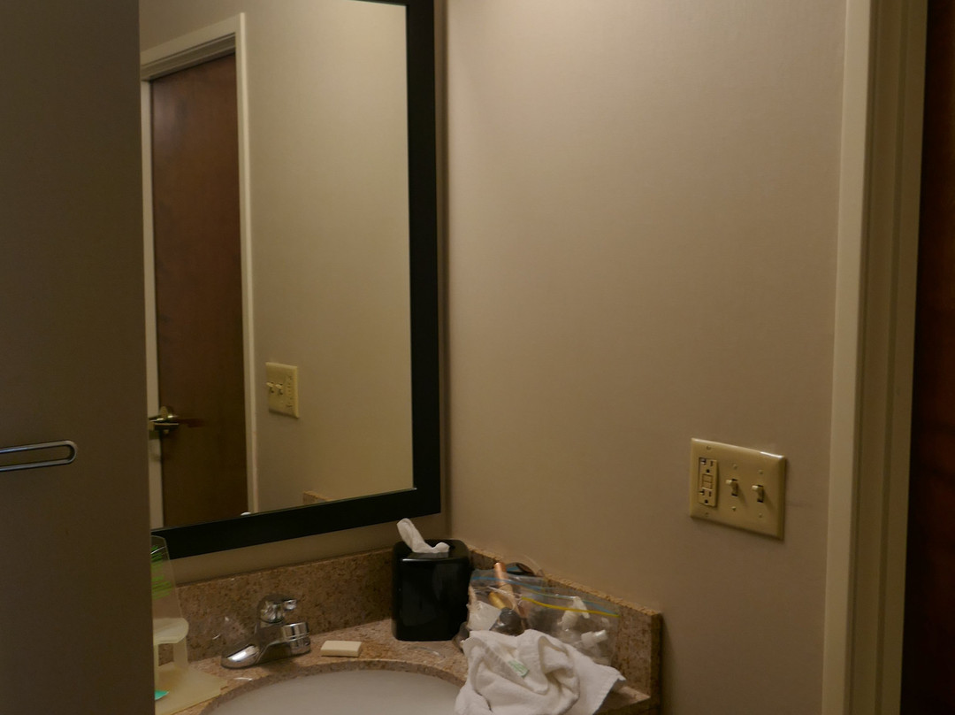 Holiday Inn Express Romulus / Detroit Airport by IHG主图