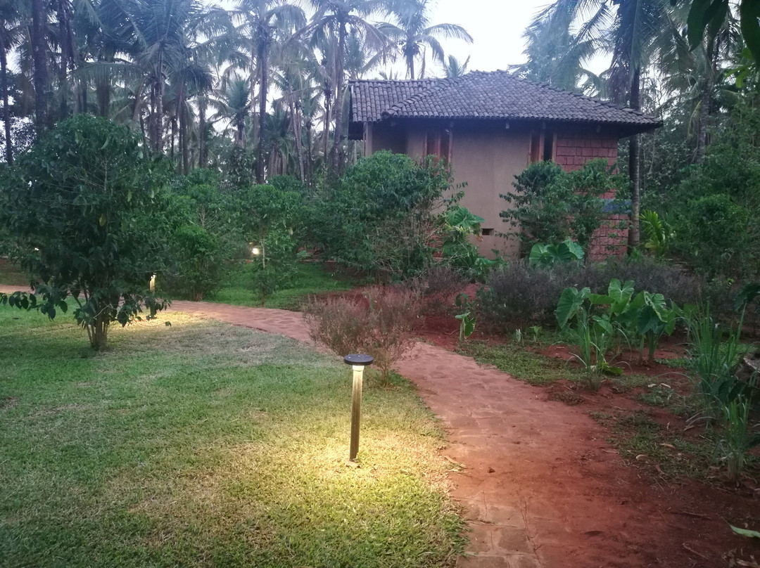 The Orchard Resort主图