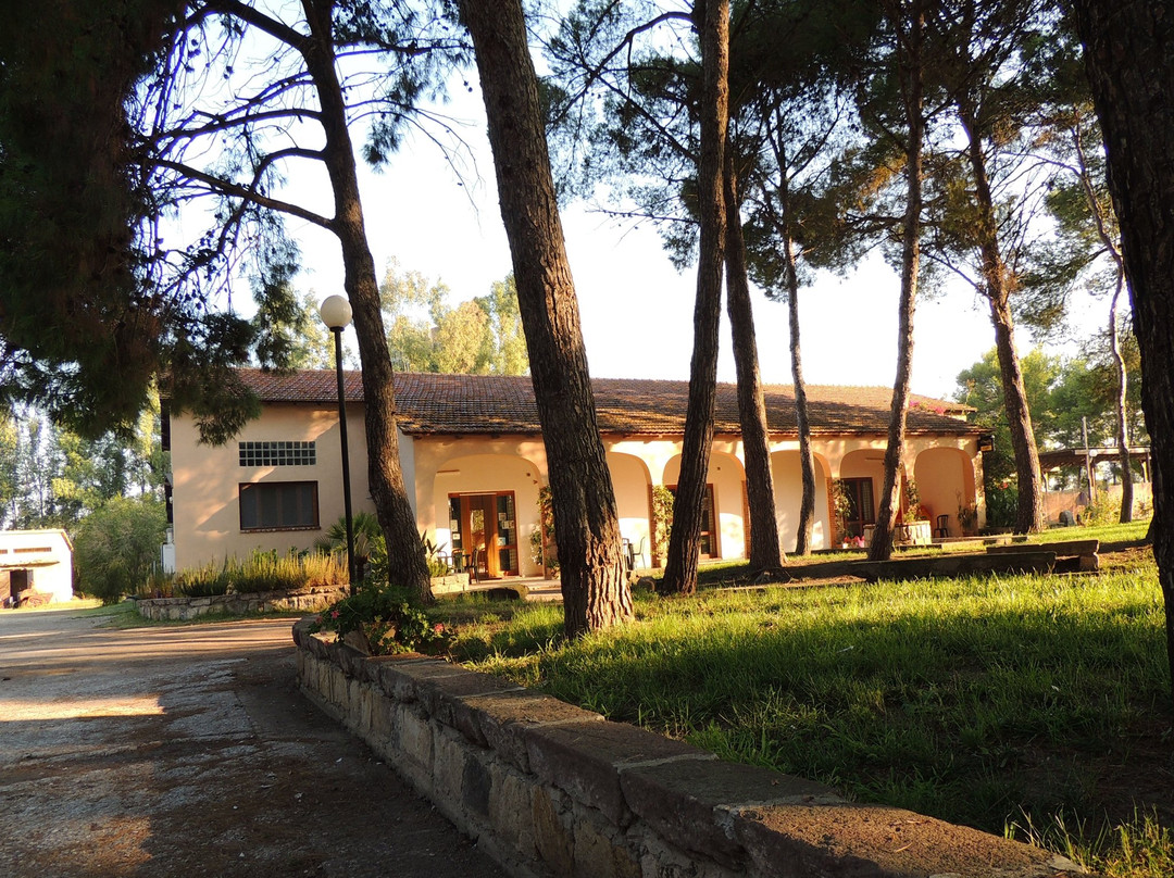 卡博尼亚-伊格莱西亚斯省酒店住宿-Agriturismo Agrifoglio