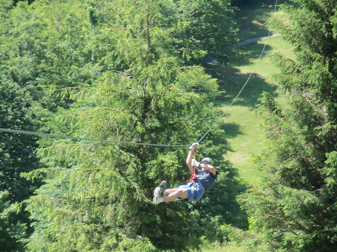 Hawksnest Snow Tubing and Zipline景点图片