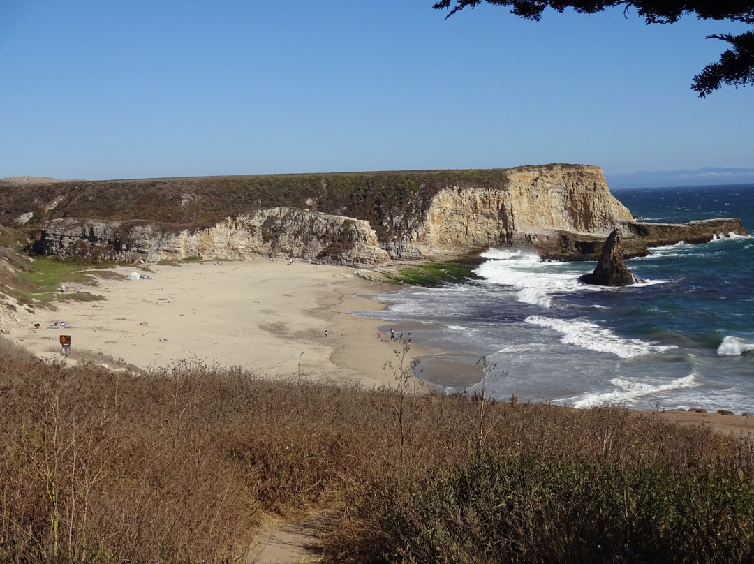 Davenport Landing Beach景点图片