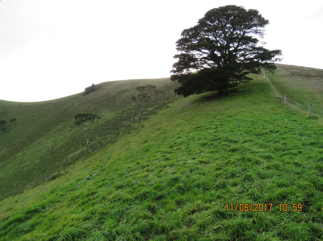 Mortlake旅游景点-Mount Noorat