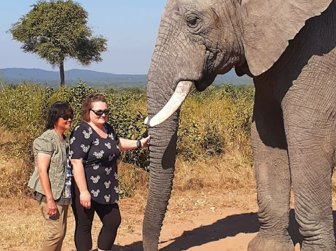 Lihlosi Safari and Touring