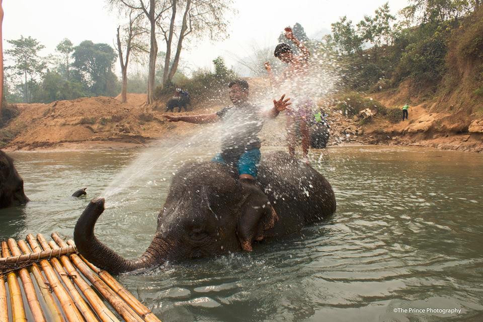 Mahawangchang Elephant Camp景点图片