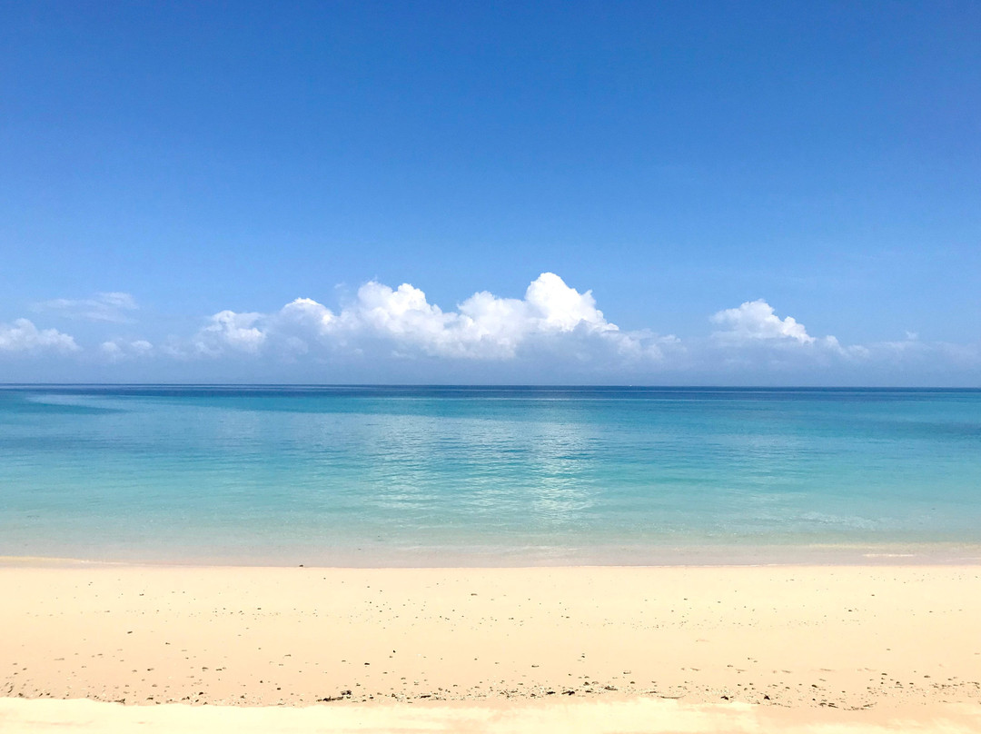 Playa Larga景点图片