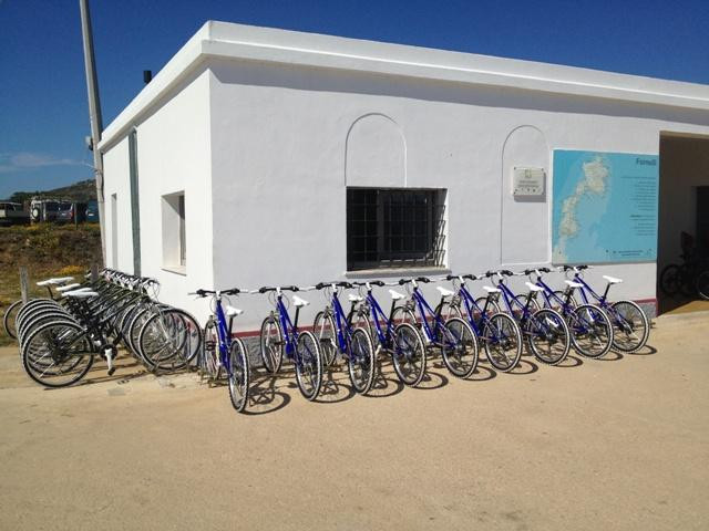 Windsurfing Center Stintino - Noleggio Biciclette Asinara