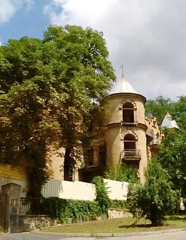 Elsa's House景点图片