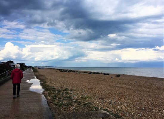 Fairlight Beach And Cliffs景点图片