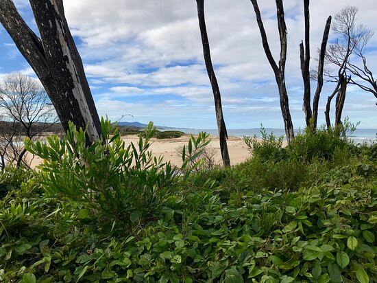 Betka Beach景点图片