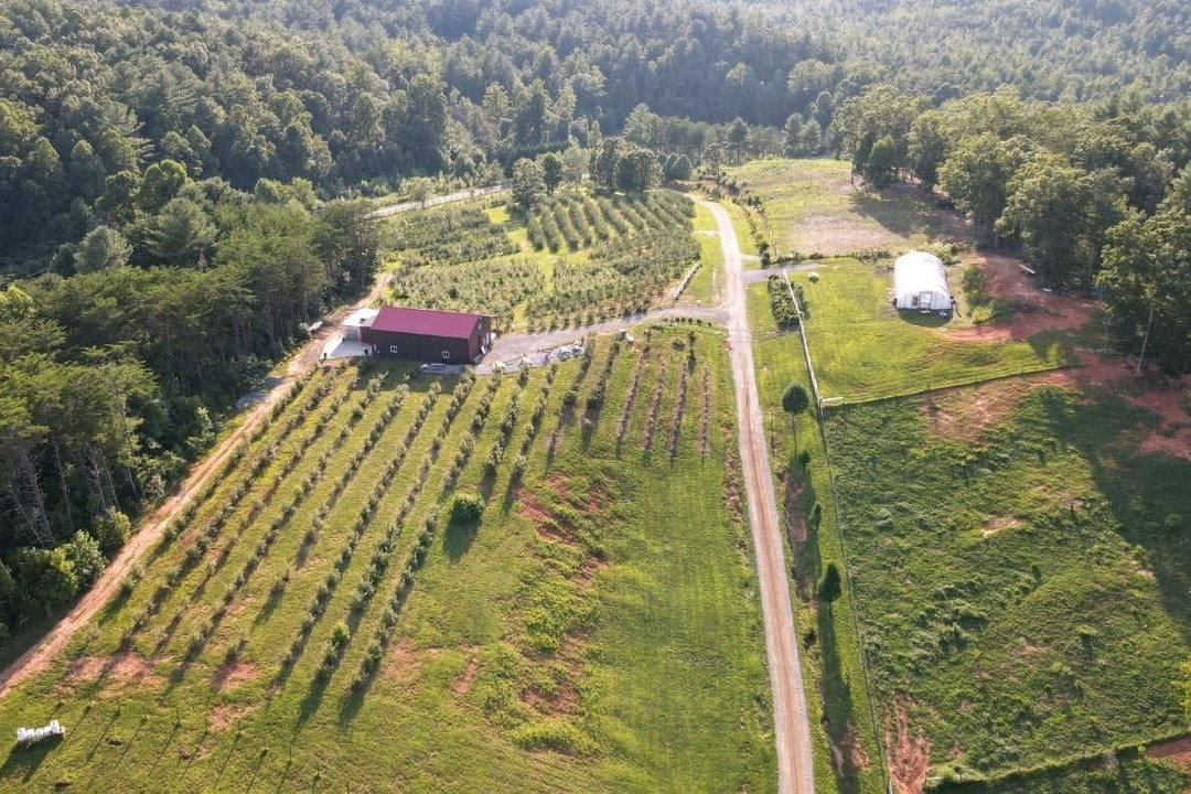 Perry's Berry's Vineyard & Winery景点图片