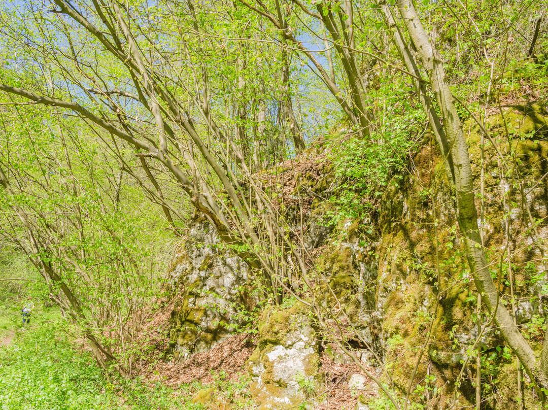 Wawoz Połrzeczki景点图片