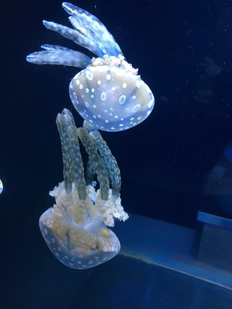 Patricia & Phillip Frost Art Museum-迈阿密必去景点