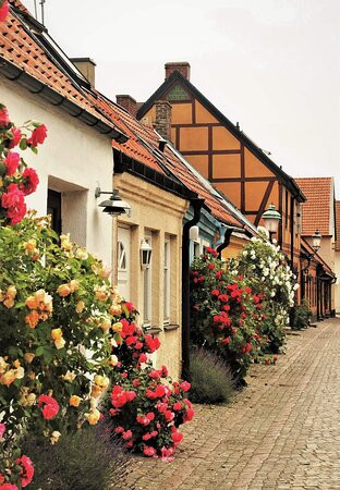 普林斯卡尔酒店主图