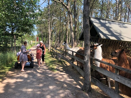Farm Fun景点图片