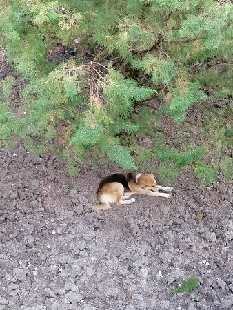 Divny 43°39° Russkiy Dom主图