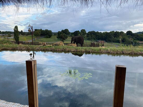 Safari Lodges At West Midlands Safari Park主图