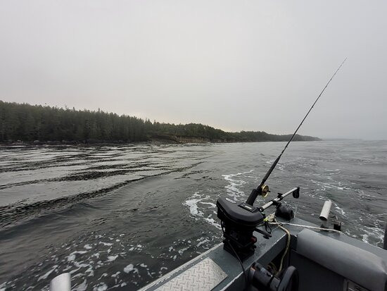 McKenna Sportfishing景点图片