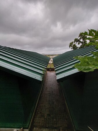 The Herb Farm By Curry Leaves-浴室